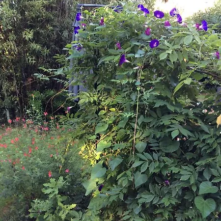 Les De Do Λε Μανς