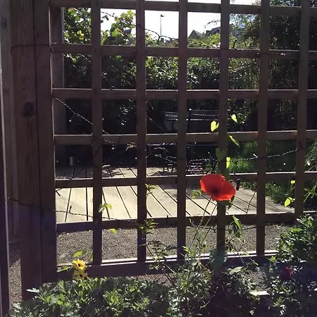 Les De Do Λε Μανς