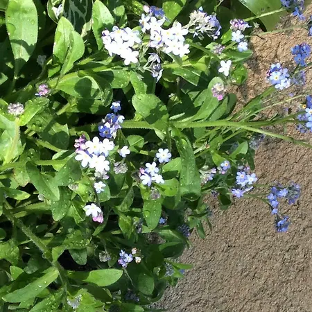 Bed and Breakfast Les De Do 3*