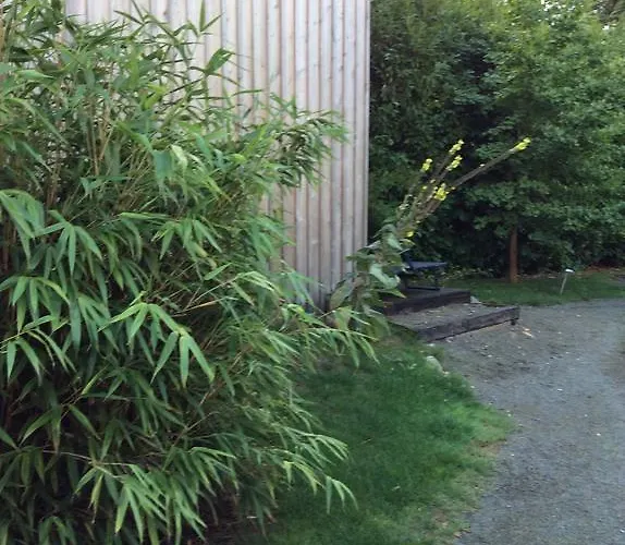 Les De Do Couette-café