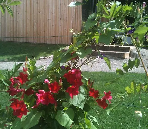 Les De Do לה מאנש