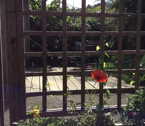 Les De Do לה מאנש