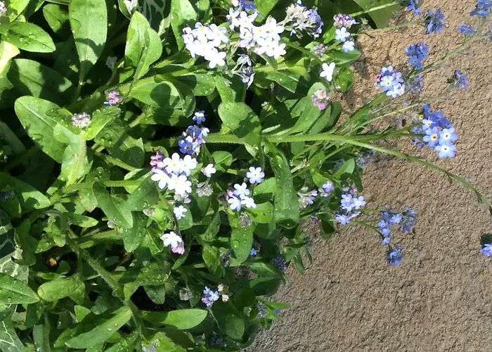 Alojamento de Acomodação e Pequeno-almoço Les De Do 3*